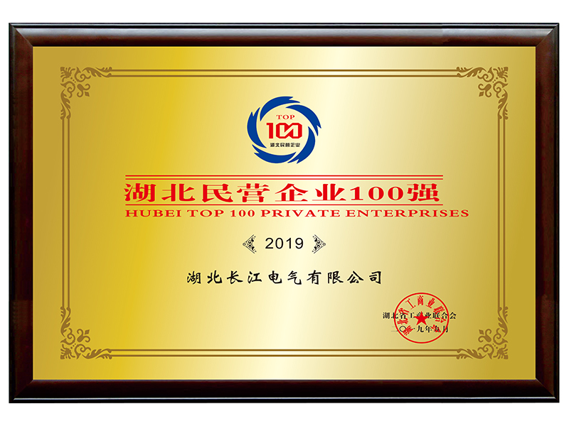 Top 100 Private Enterprises in Hubei